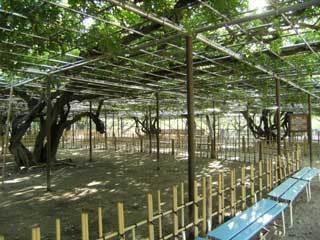 2013.9.9-138.jpg