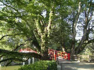 2013.9.9-144.jpg