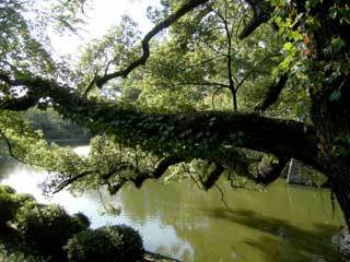 2013.9.9-145.jpg