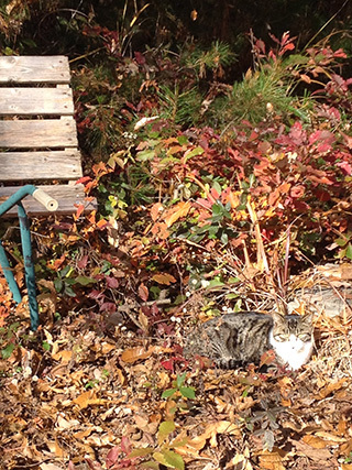2014-11-30-(16).jpg