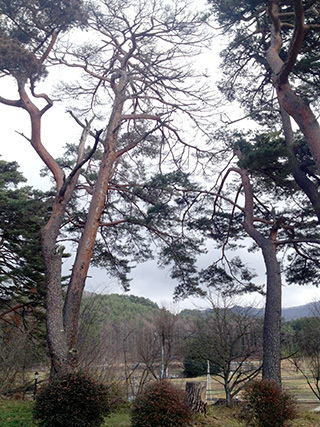 2014-11-30-(23).jpg