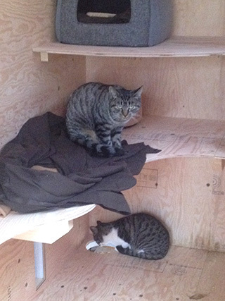 2014-11-30-(42).jpg
