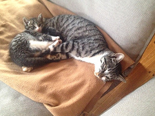 2014-11-30-(43).jpg