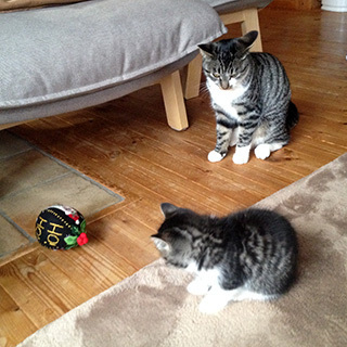 2014-11-30-(44).jpg