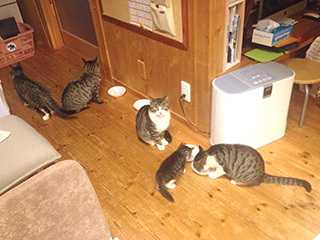 2014-11-30-(53).jpg