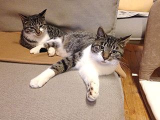 2014-11-30-(55).jpg