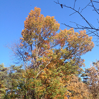 2014-11-30-(9).jpg