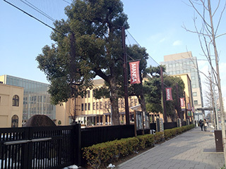 2015-1-4-(7).jpg