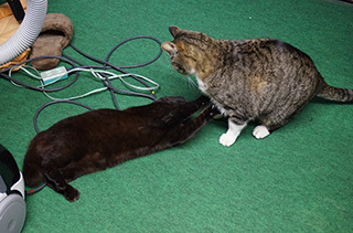 2015-3-29-(2).jpg