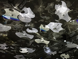 2016-10-2-(129).jpg