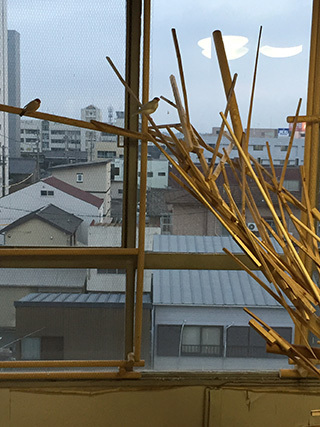 2016-10-2-(165).jpg