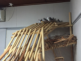2016-10-2-(170).jpg