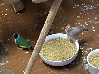2016-10-2-(171).jpg
