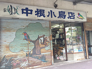 2016-10-2-(44).jpg