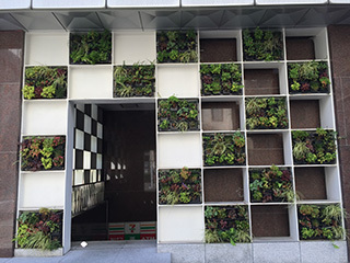 2016-10-6-(31).jpg
