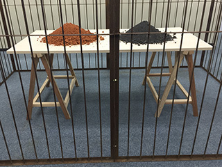 2016-10-6-(81).jpg