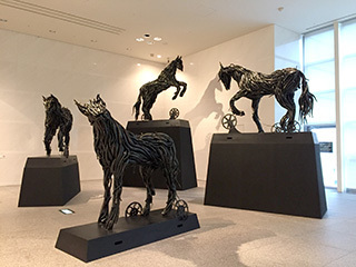 2016-8-28-(34).jpg