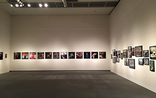 2016-8-28-(93).jpg