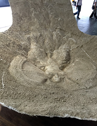 2016-9-11-(10).jpg
