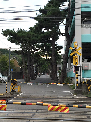2016-9-11-(175).jpg