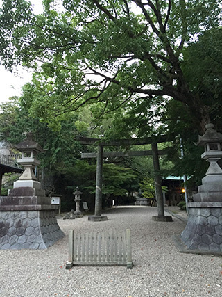 2016-9-11-(177).jpg