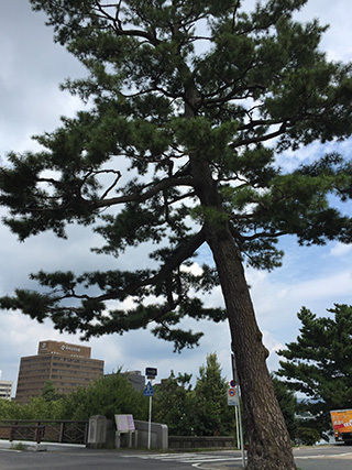 2016-9-11-(24).jpg
