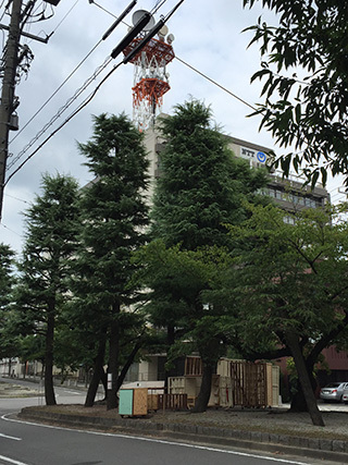 2016-9-11-(31).jpg