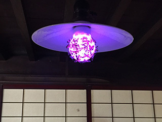 2016-9-11-(49).jpg