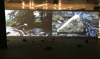 2016-9-11-(91).jpg