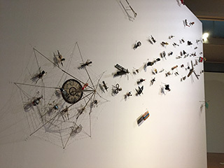 2017-5-14-(20).jpg