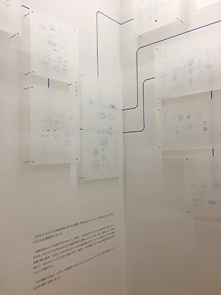 2017-5-14-(45).jpg