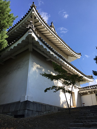 2017-9-3-(107).jpg