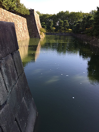 2017-9-3-(131).jpg