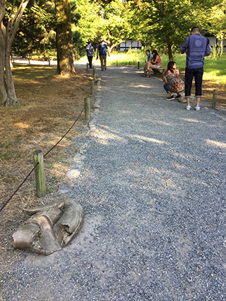2017-9-3-(166).jpg