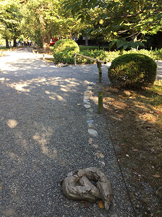 2017-9-3-(167).jpg