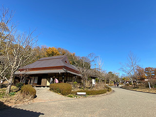 2020-12-6-(17).jpg
