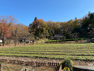 2020-12-6-(23).jpg