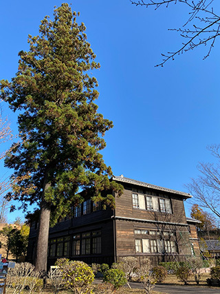 2020-12-6-(50).jpg