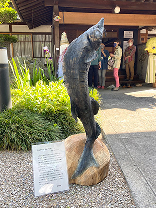 2022-5-5-(43).jpg