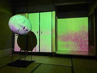 2022-5-8-(10).jpg