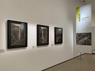 2023-3-12-(19).jpg