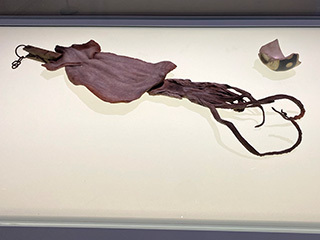 2023-3-12-(25).jpg