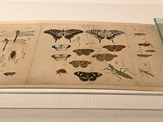 2024-10-1-(19).jpg