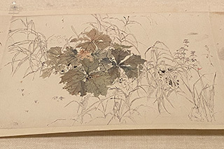 2024-10-1-(24).jpg
