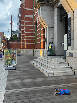 2024-10-1-(62).jpg