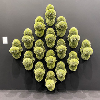 2024-11-12-(25).jpg