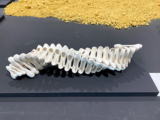 2024-11-12-(41).jpg