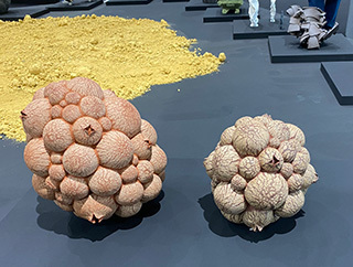 2024-11-12-(61).jpg