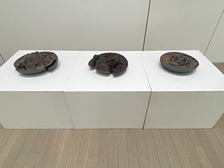 2024-11-12-(78).jpg