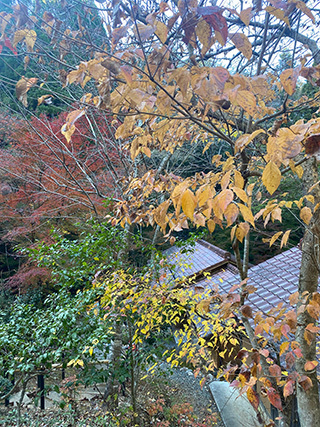 2024-11-24-(20).jpg